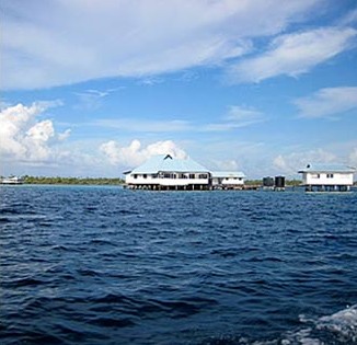 First pearl farm