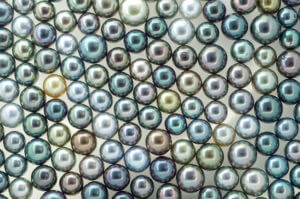 palette of natural colors of Tahitian Pearls